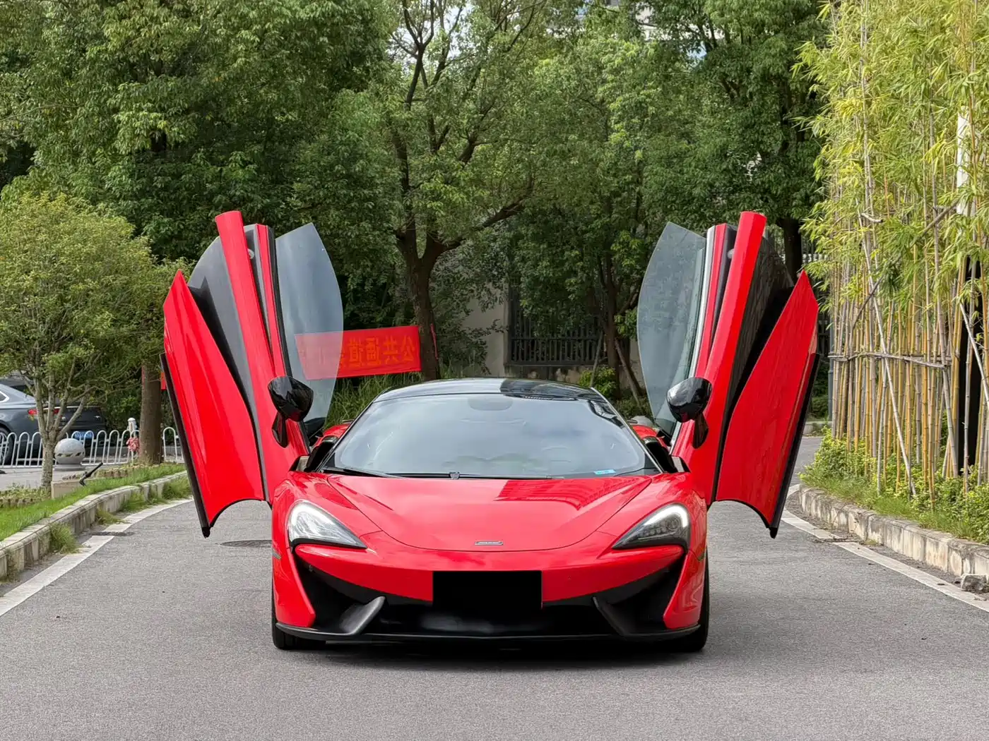 McLaren 540C 2018 2015 3.8T Coupe