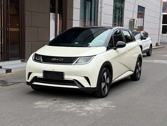 BYD Dolphin 420km, Стиль