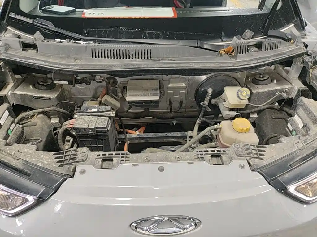 Chery New Energy Chery Wujie Pro 2023 2022 301km Mythical Beast Edition LFP