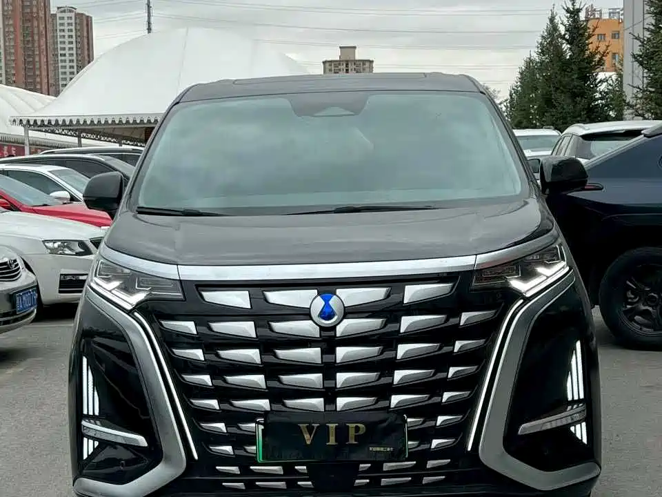 Denza D9 2022 DM-i 970 All-Wheel Drive Honor Edition фото 2