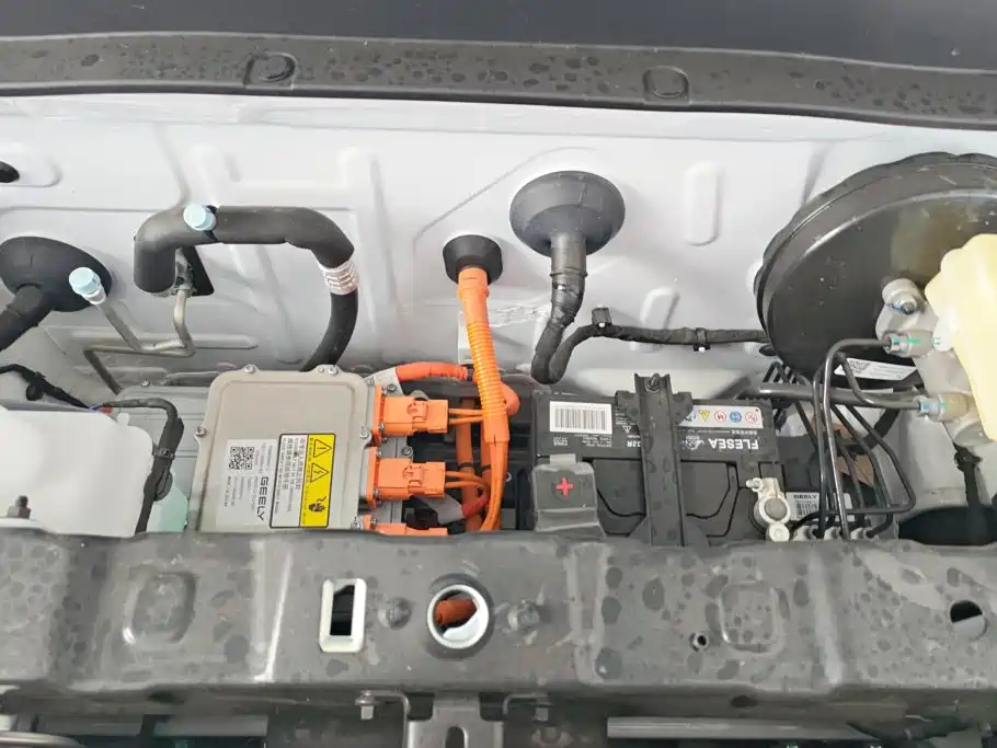 Geely Galaxy Panda 2026 2025 Panda mini 210km Vitality Bear