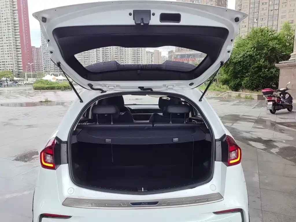 Geely Vision X3 2021 2020 1.5L CVT Elite