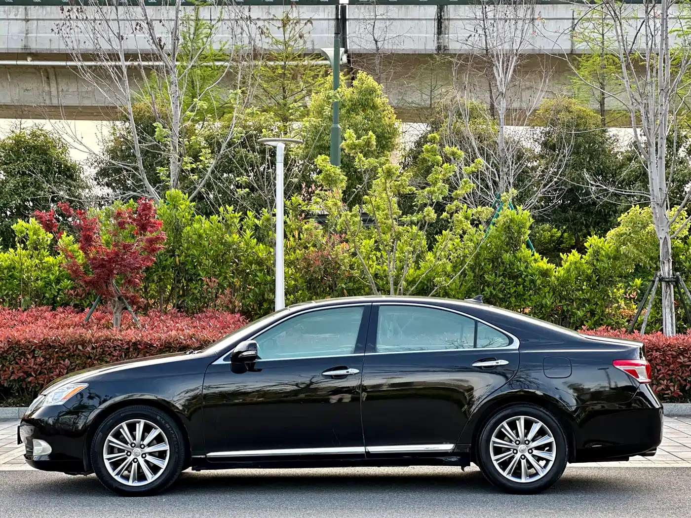 Lexus ES 2010 350 Luxury Edition фото 7