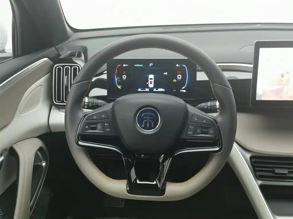 BYD SONGJIANG NEW ENERGY