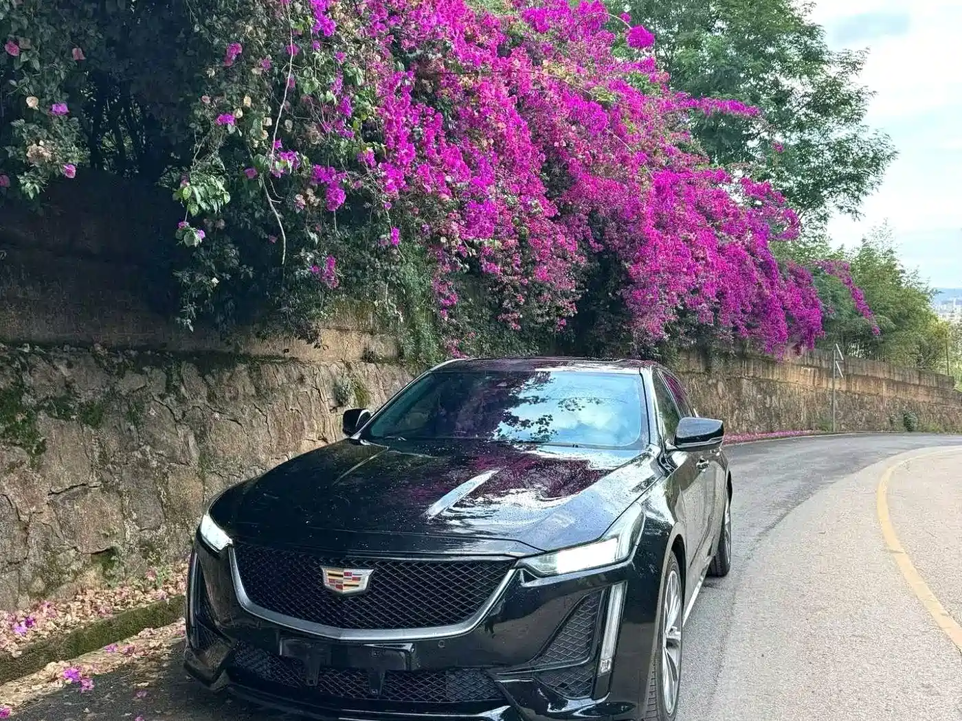Photo 1 - Cadillac CT5