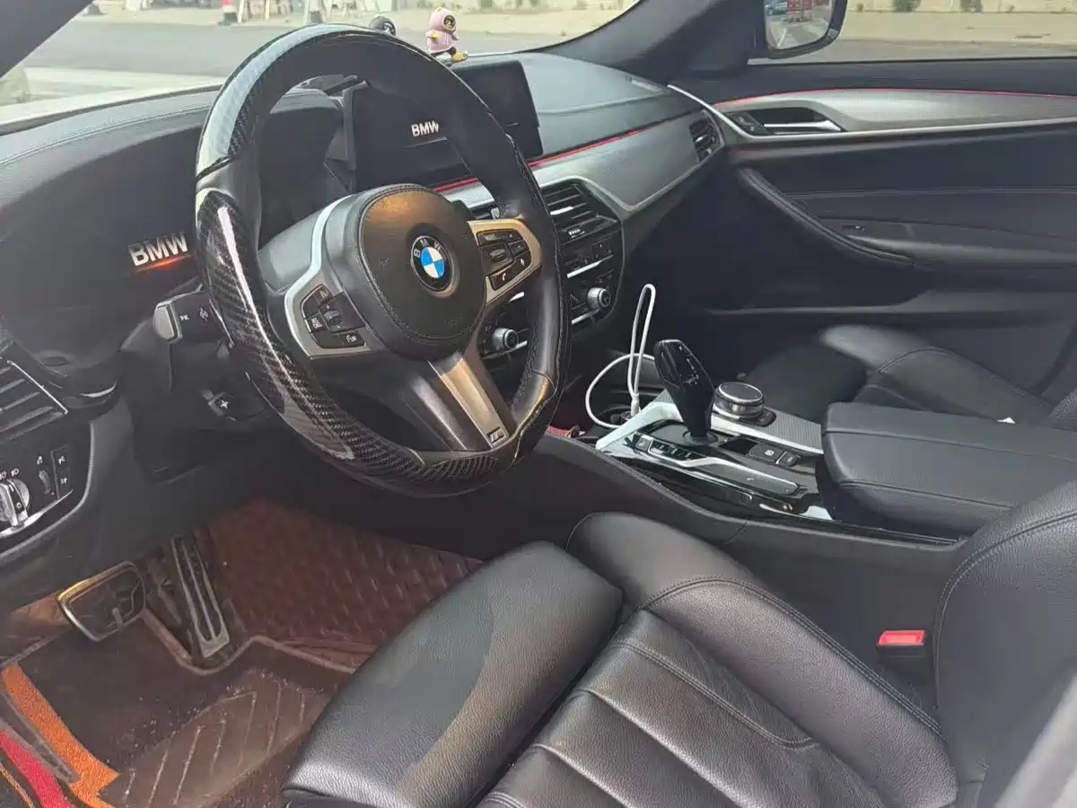 BMW 5 Series (Import) 2019 525i M Sport Package фото 9