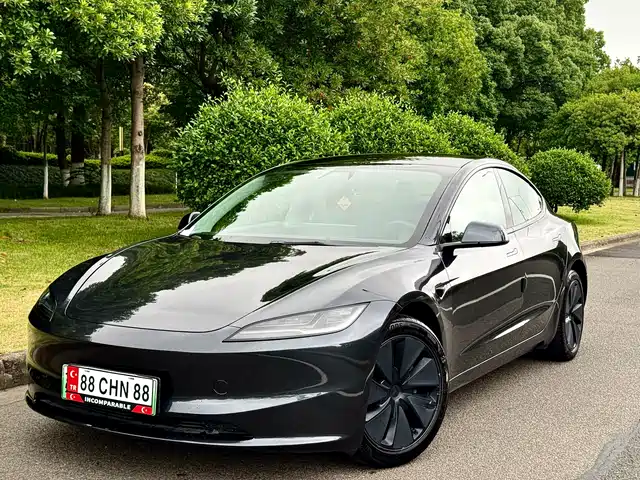 Tesla Model 3 2025 Model Rear-Wheel Drive Edition