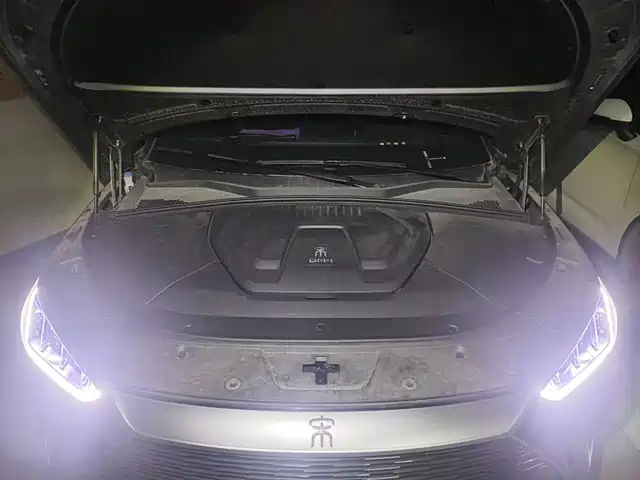 BYD Song PLUS PHEV 2021 DM-i 110KM Flagship PLUS — фото 3