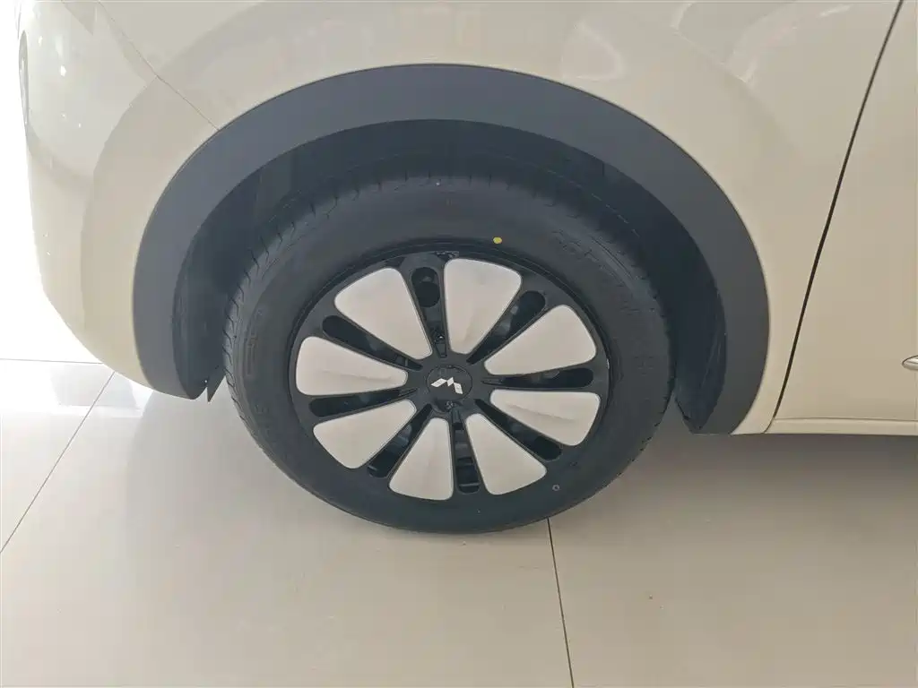 Wuling Motors Wuling Bingo 2026 2025 Model 333km Joy Edition