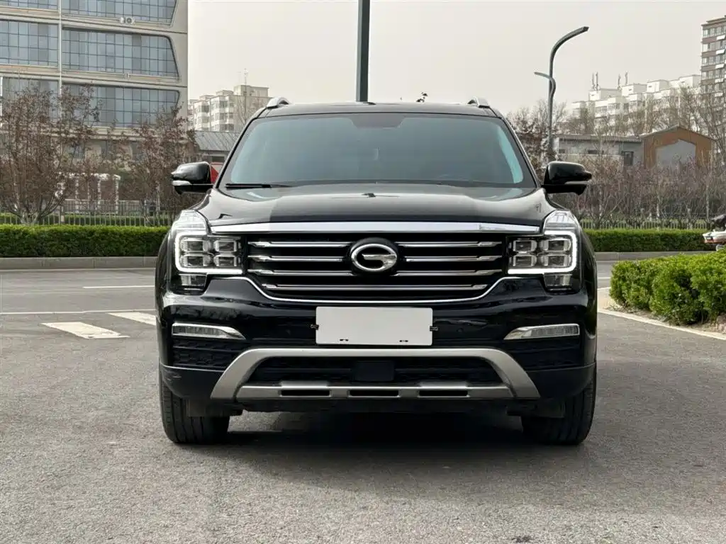GAC Trumpchi Trumpchi GS8 2017 320T 2WD Luxury Smart Connect (7-seater) фото 2