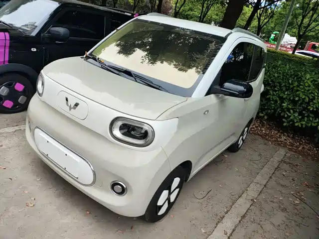  Wuling Motors Hongguang MINIEV 2024 3rd Gen 215km Advanced