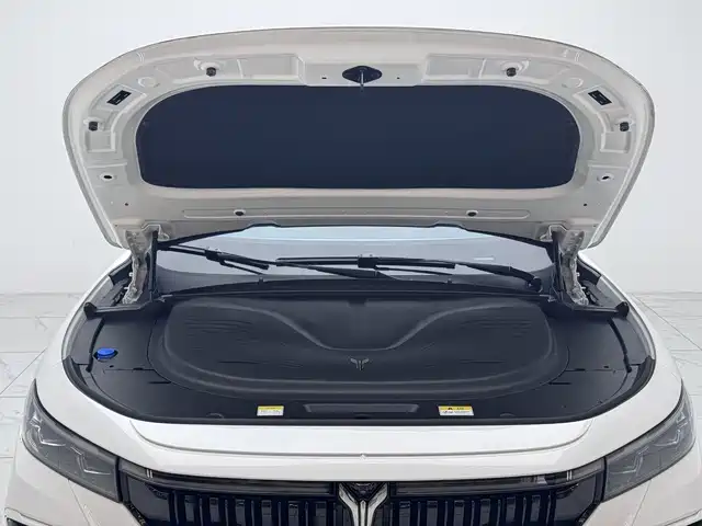 Voyah Auto VOYAH FREE 2024 Ultra Long Range Intelligent Driving Edition фото 19