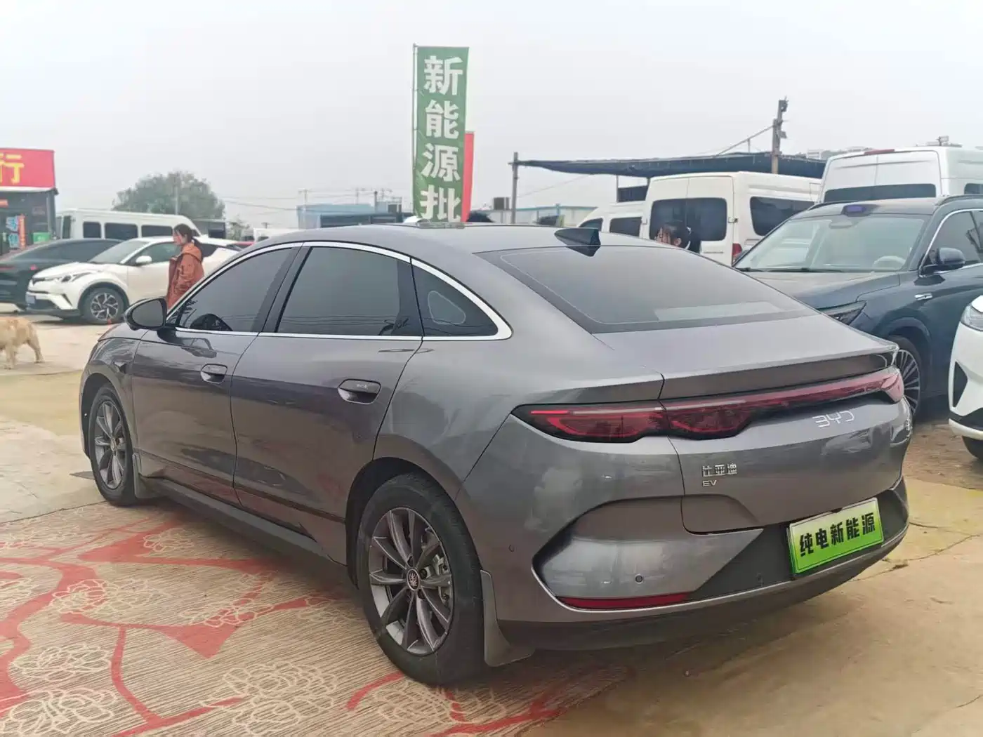 BYD QIN L