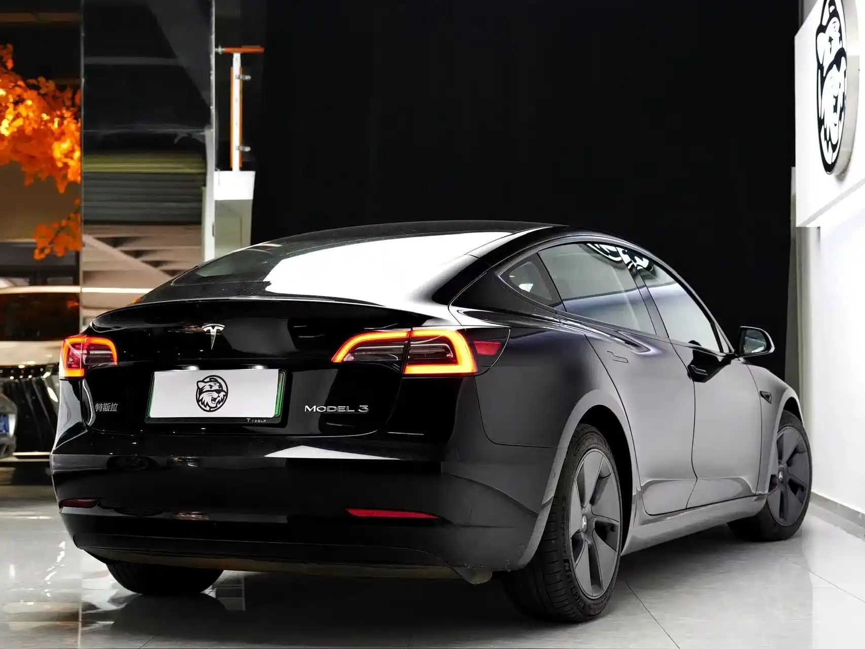 Фото 7 - Tesla Model 3