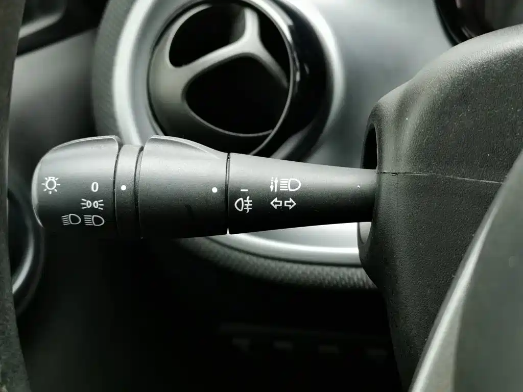 Фото 21 - smart forfour