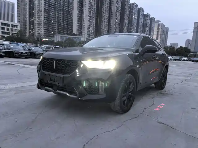 WEI PAI WEI BRAND VV5