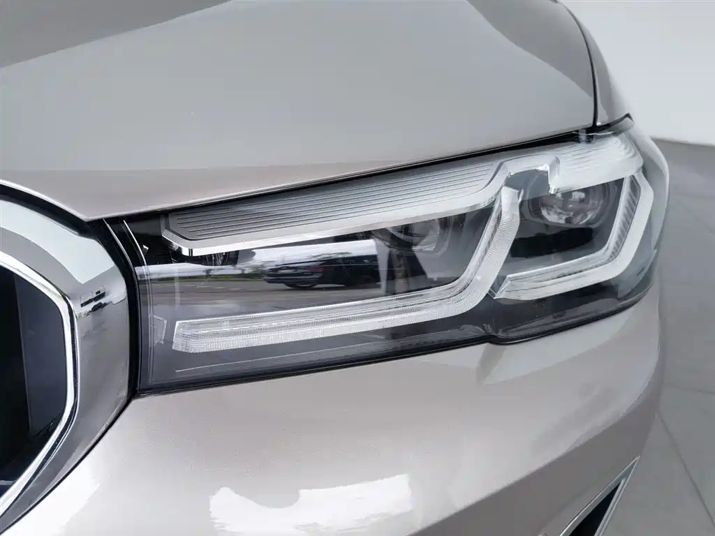 BMW 5 Series 2021 530Li Leading Luxury Package фото 7