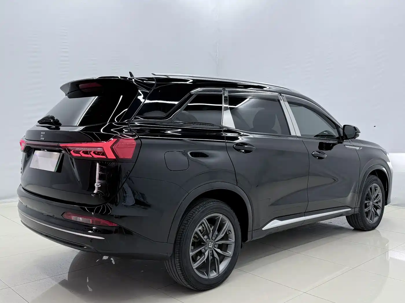 Landian E5 2024 2024 Glory Edition 100KM Premium Type 7-Seater