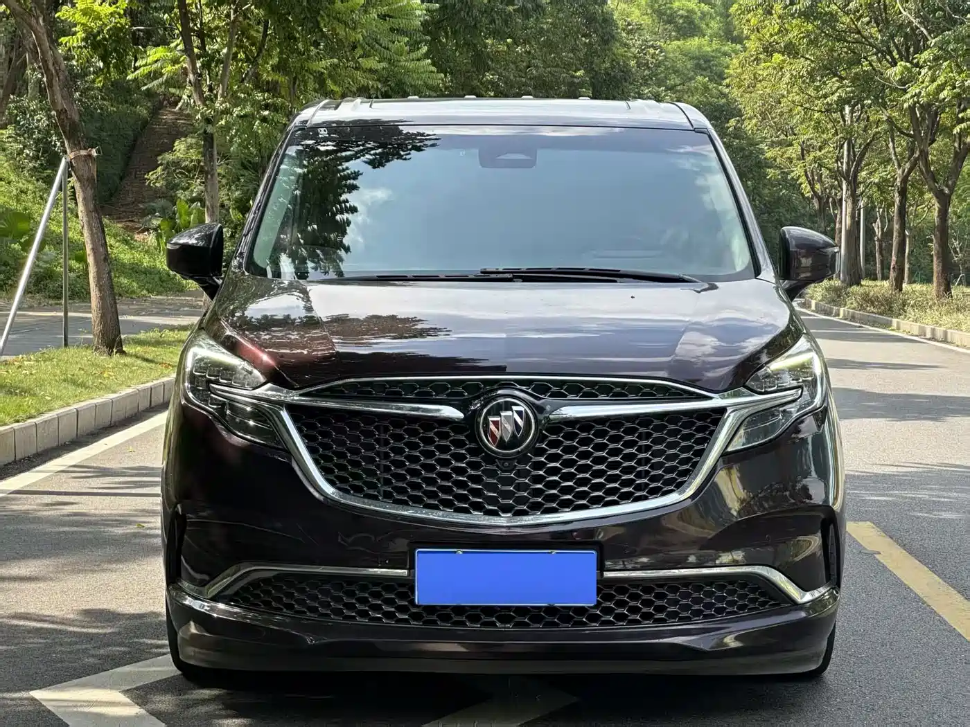 Фото 1 - Buick GL8