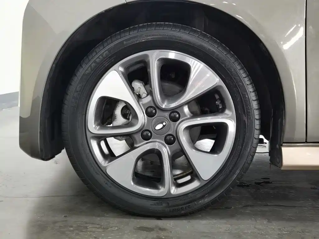 Ora White Cat 2022 2022 Wildcat Edition 401km Flagship (NMC)