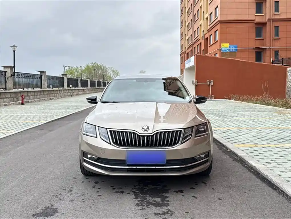 Škoda Octavia 2018 TSI280 DSG Luxury Edition фото 10
