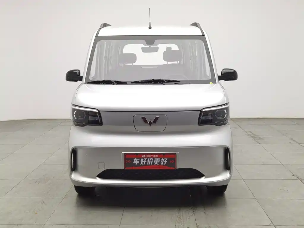 Wuling Motors Wuling Zhiguang NEV 2025 2025 Model 305km Base Version