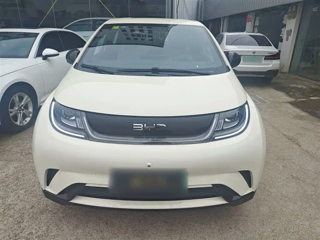 BYD Dolphin 2025 420km Freedom Edition фото 3