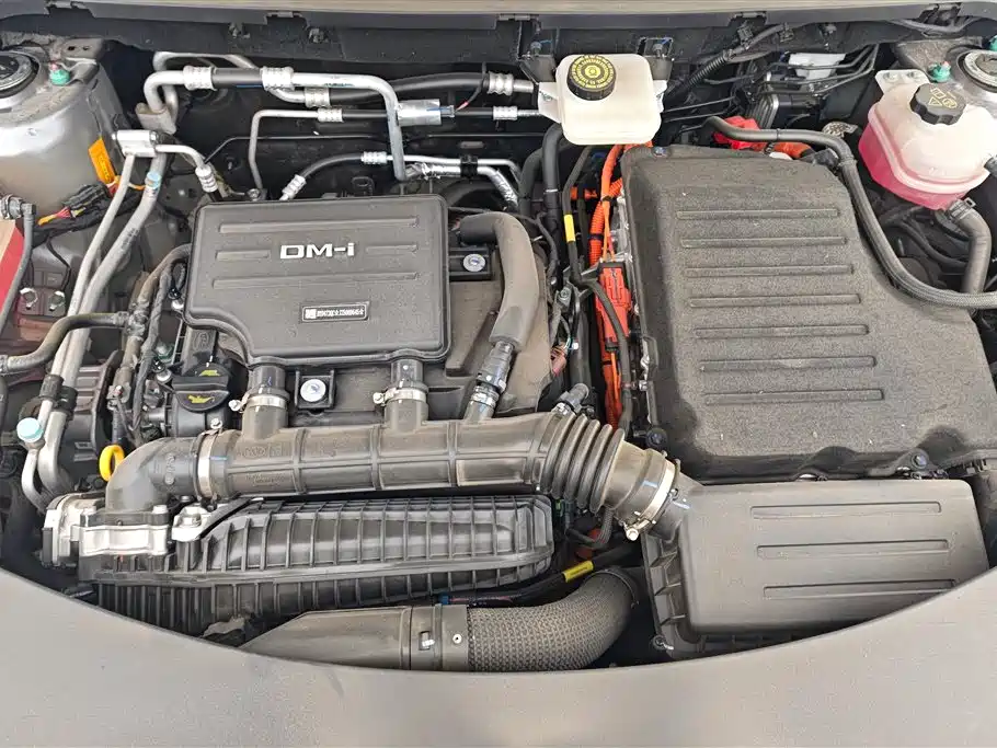 BYD SONGJIANG NEW ENERGY