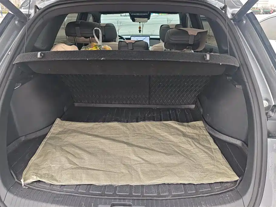 BYD SONGJIANG NEW ENERGY