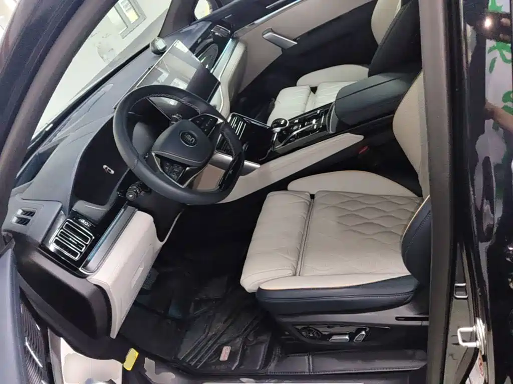 صورة 15 - BYD Tang New Energy
