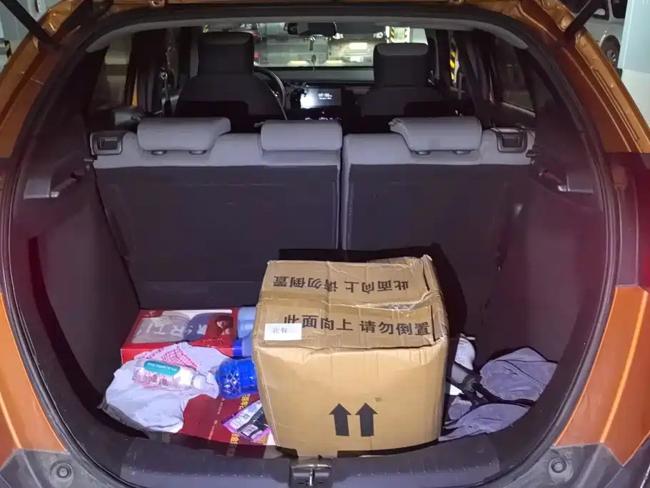 Фото 4 - Honda LIFE