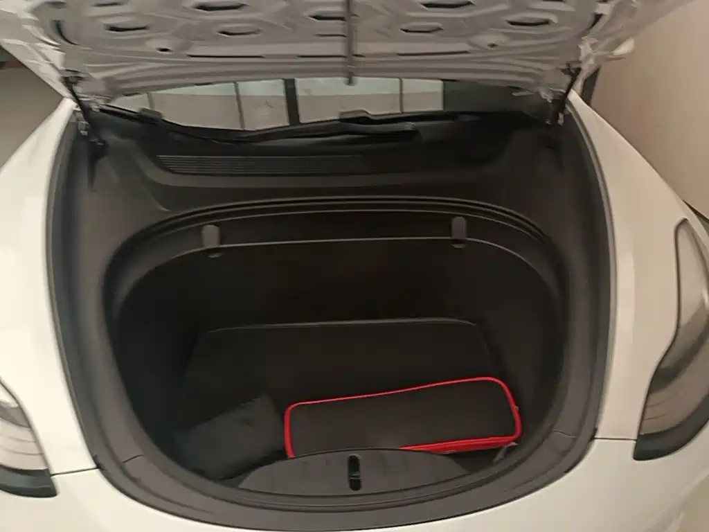 Tesla Model 3 (Import) 2019 2019 Long Range RWD Version