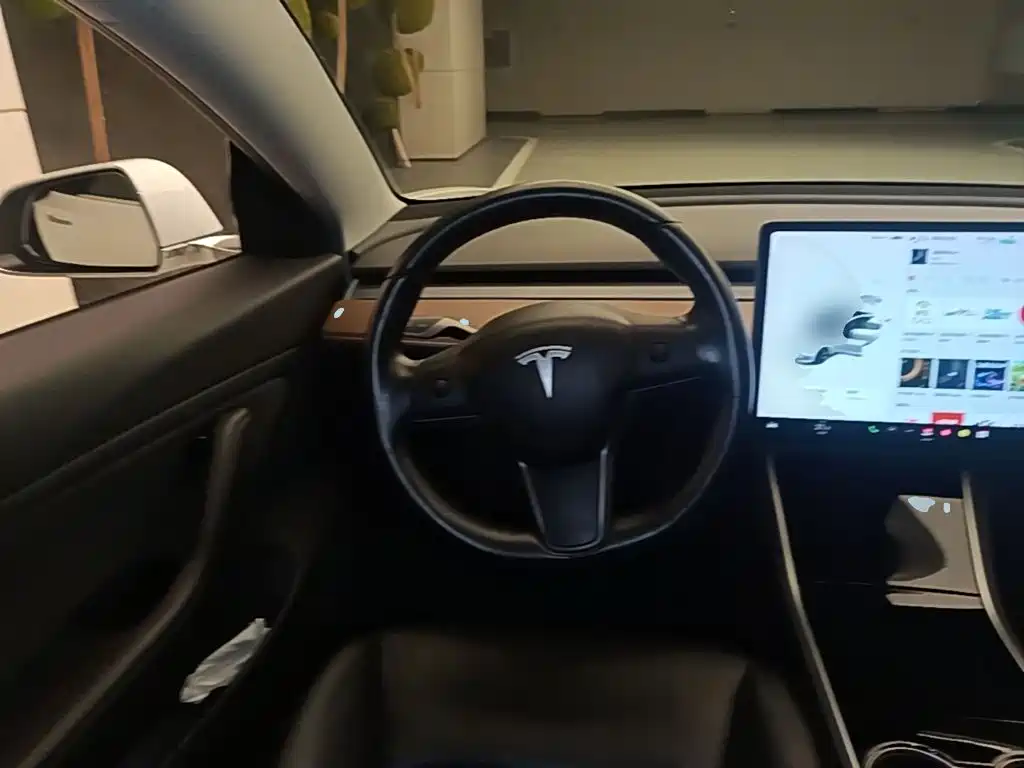 Tesla Model 3 (Import) 2019 2019 Long Range RWD Version