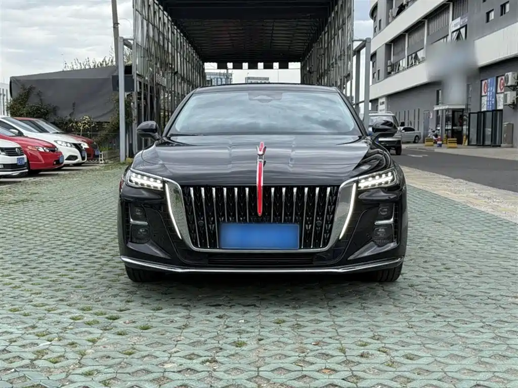 Hongqi H5 2024 2.0T Automatic Smart Connect Flag Smooth Edition фото 14