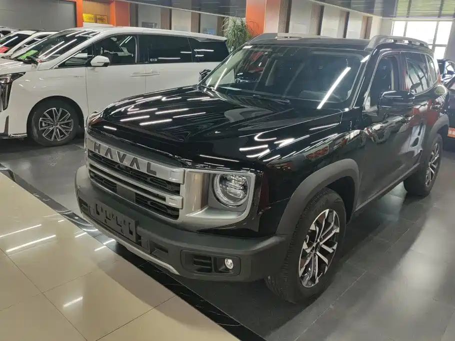 Haval Big Dog 2024 1.5T DCT Border Collie Edition