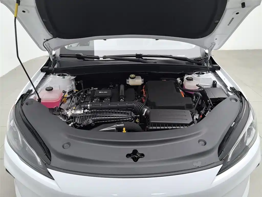 BYD Hai Bao 05 DM-i 2025 DM-i Smart Driving Edition 120KM Flagship фото 6