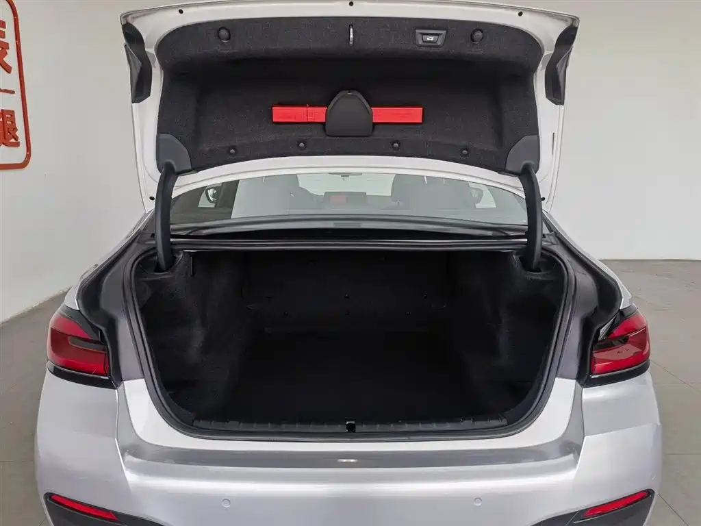 BMW 5 Series 2021 530Li Leading M Sport Package фото 16