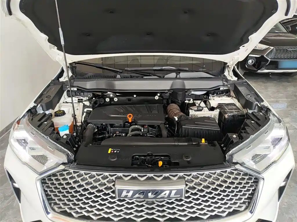 Haval H6 2021 3rd Generation 1.5T Auto 2WD Max фото 20