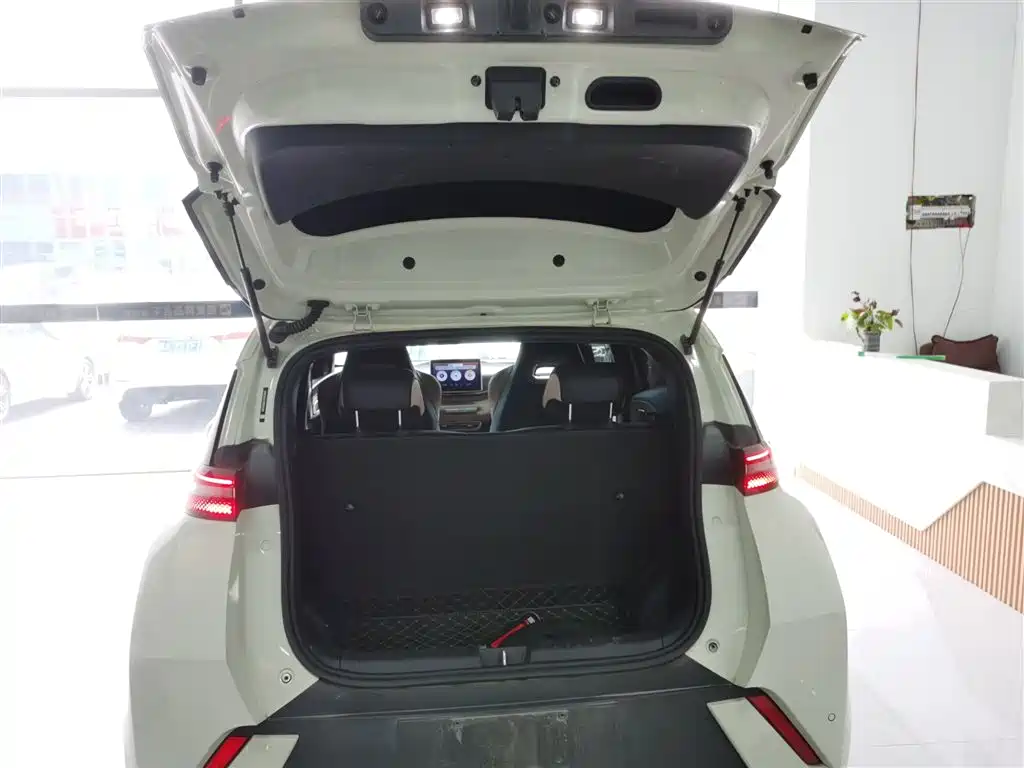 BYD Seagull 2025 305km Freedom фото 15