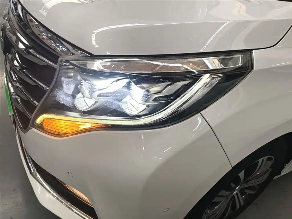 GAC Trumpchi Trumpchi M8 2018 320T Flagship Edition фото 24