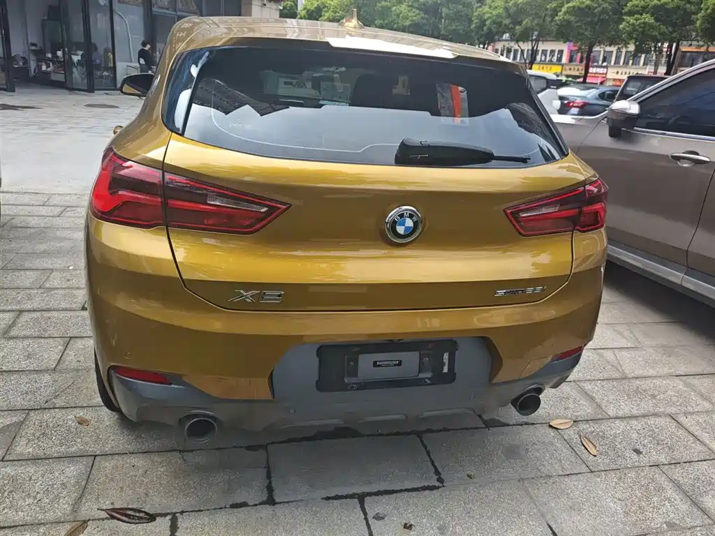 BMW X2 (Import) 2018 sDrive25i Exclusive M Off-Road Package China V фото 6