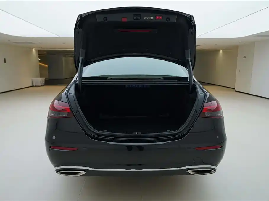 Mercedes-Benz E-Class 2023 E 300 L Luxury фото 6