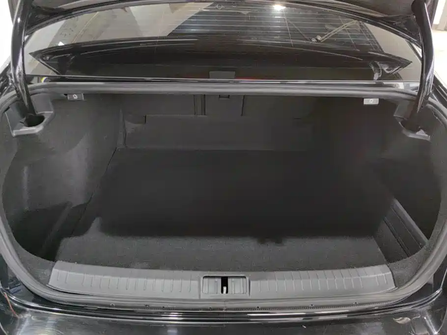 Volkswagen Magotan 2020 330TSI DSG Leading фото 4