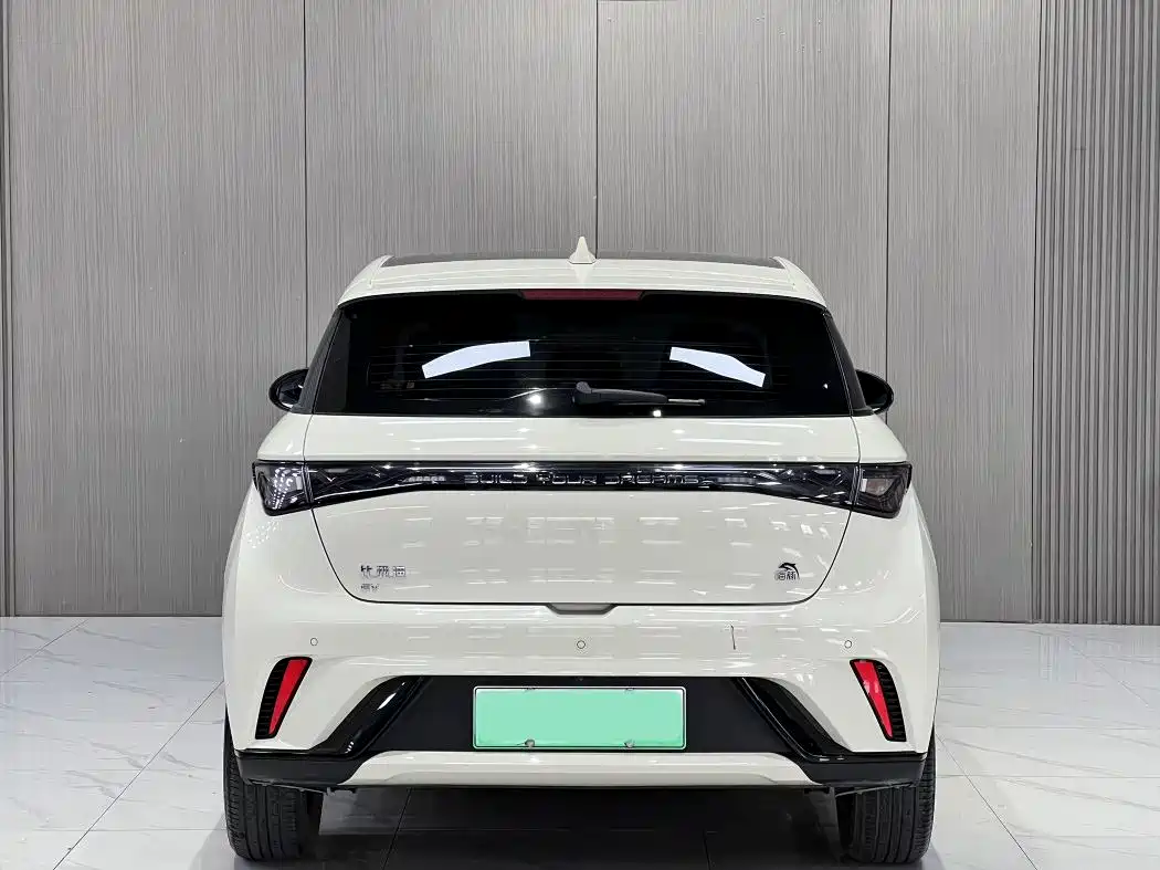 BYD Dolphin 2023 420km Fashion Edition фото 10