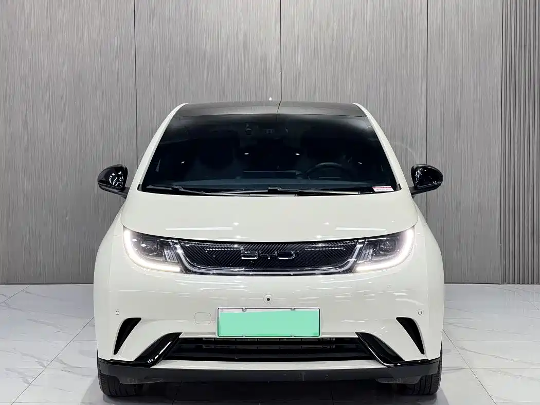 BYD Dolphin 2023 420km Fashion Edition фото 2