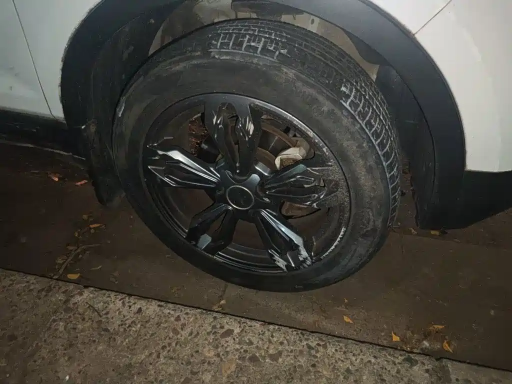 Leopaard CS9 2018 2017 1.5L Manual Trend