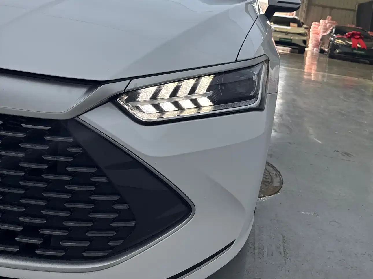 BYD Qin PLUS 2024 Glory Edition DM-i 55KM Leading фото 2
