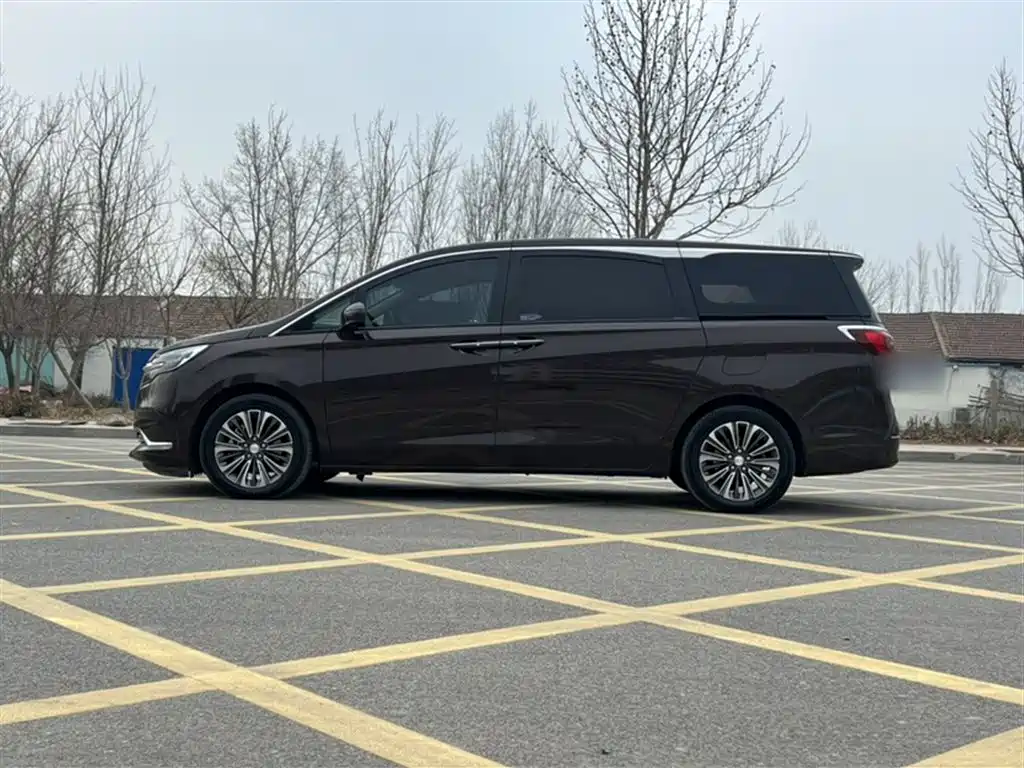 Buick GL8 2021 ES Landlord 653T Luxury фото 25