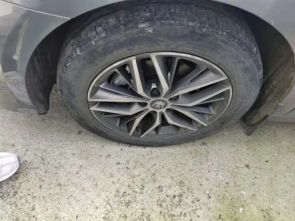BYD Qin PLUS 2023 Champion Edition DM-i 120KM Excellence фото 22