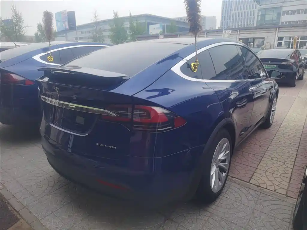 TESLA MODEL X